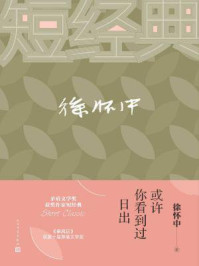 或许你看到过日出/徐怀中