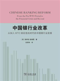 中国银行业改革:从加入WTO到后危机时代的中国银行业发展/姚树洁-mob/epub/azw3/pdf电子书免费下载/书单推荐16km电子书