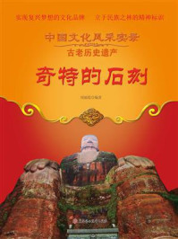 奇特的石刻/周丽霞-mob/epub/azw3/pdf电子书免费下载/书单推荐16km电子书