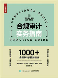 合规审计实务指南/唐鹏展-mob/epub/azw3/pdf电子书免费下载/书单推荐16km电子书