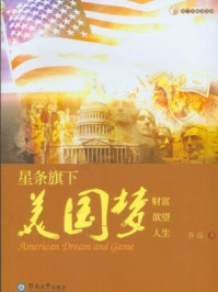星条旗下美国梦 财富 欲望 人生/乔磊
