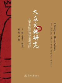 大众文化研究—从审美批评到价值观视野/陶东风,蒋述卓