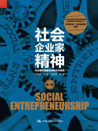 社会企业家精神(第二辑):社会使命稳健性的概念与实践/毛基业-mob/epub/azw3/pdf电子书免费下载/书单推荐16km电子书