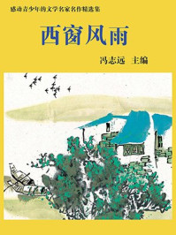 西窗风雨/冯志远-mob/epub/azw3/pdf电子书免费下载/书单推荐16km电子书
