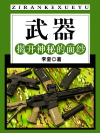 武器：揭开神秘的面纱/李奎-mob/epub/azw3/pdf电子书免费下载/书单推荐16km电子书