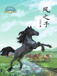 风之子/许廷旺