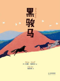 黑骏马/(英)安娜·塞维尔著;姚莉莉译