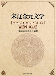 宋辽金元文学/张维民