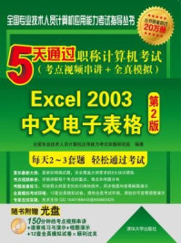 5天通过职称计算机考试（考点视频串讲＋全真模拟）：Excel 2003中文电子表格（第2版）/全国专业技术人员计算机应用能力考试命题研究组