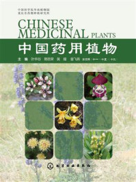 中国药用植物(十三)/叶华谷