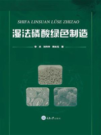 湿法磷酸绿色制造/李兵-mob/epub/azw3/pdf电子书免费下载/书单推荐16km电子书