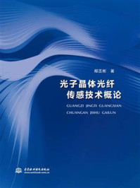 光子晶体光纤传感技术概论/邴丕彬-mob/epub/azw3/pdf电子书免费下载/书单推荐16km电子书