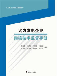 火力发电企业励磁技术监督手册/陈新琪-mob/epub/azw3/pdf电子书免费下载/书单推荐16km电子书