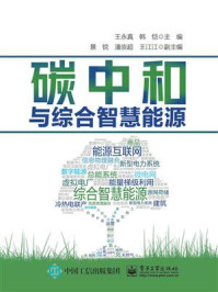 碳中和与综合智慧能源/王永真-mob/epub/azw3/pdf电子书免费下载/书单推荐16km电子书