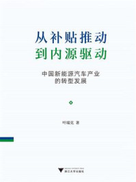 从补贴推动到内源驱动:中国新能源汽车产业的转型发展/叶瑞克-mob/epub/azw3/pdf电子书免费下载/书单推荐16km电子书
