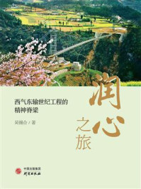 润心之旅:西气东输世纪工程的精神脊梁/吴锡合-mob/epub/azw3/pdf电子书免费下载/书单推荐16km电子书