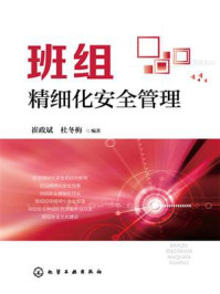 班组精细化安全管理/崔政斌-mob/epub/azw3/pdf电子书免费下载/书单推荐16km电子书