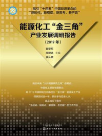 能源化工“金三角”产业发展调研报告（2019年）/崔学军