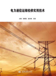电力通信运维检修实用技术/徐婧劼