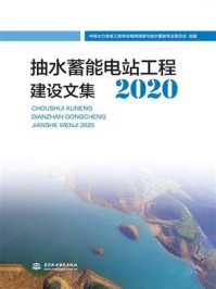 抽水蓄能电站工程建设文集（2020）/中国水力发电工程学会电网调峰与抽水蓄能专业委员会