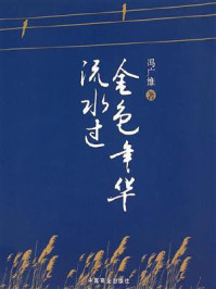 金色年华流水过/冯广维