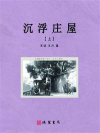 沉浮庄屋(上)/王锐