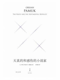 天真的和感伤的小说家/奥尔罕·帕慕克