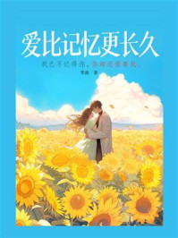 爱比记忆更长久/笙离