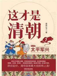 这才是清朝 7:太平军兴/鹿鼎公子