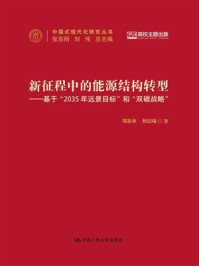 新征程中的能源结构转型:基于“2035年远景目标”和“双碳战略”/郑新业