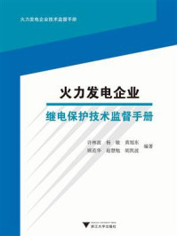 火力发电企业继电保护技术监督手册/许林波