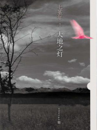 大地之灯/七堇年