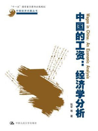 中国的工资：经济学分析（中国经济问题丛书）/张军