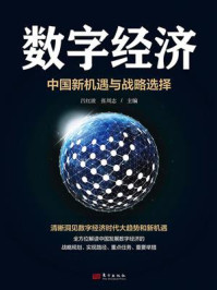 数字经济:中国新机遇与战略选择/吕红波-mob/epub/azw3/pdf电子书免费下载/书单推荐16km电子书