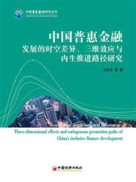 中国普惠金融发展的时空差异、三维效应与内生推进路径研究/刘亦文