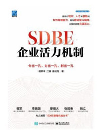 SDBE企业活力机制:令出一孔,力出一孔,利出一孔/胡荣丰