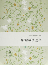 苏轼诗词文选评/王水照