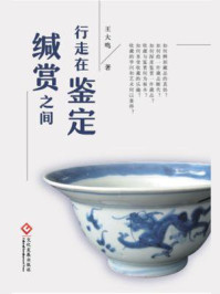 行走在鉴定缄赏之间/王大鸣