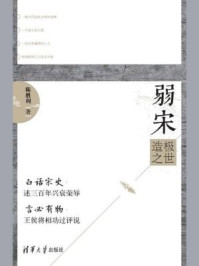 弱宋：造极之世/陈胜利