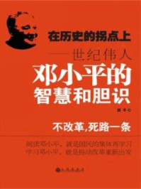 在历史的拐点上：世纪伟人邓小平的智慧和胆识/赵丰