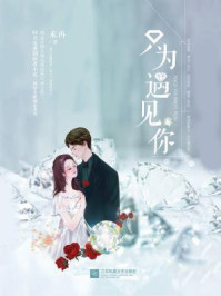 只为遇见你/未再