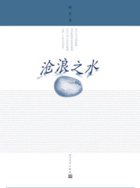 沧浪之水/阎真著