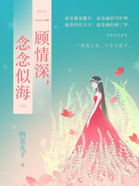 一顾情深，念念似海/四喜丸子