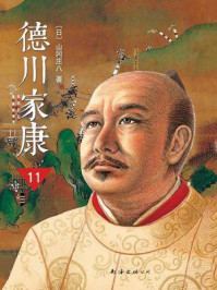 德川家康(新版)11:王道无敌/山冈庄八