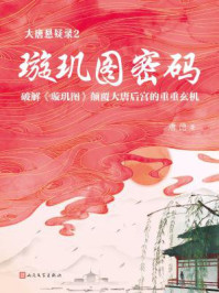 大唐悬疑录2：璇玑图密码/唐隐