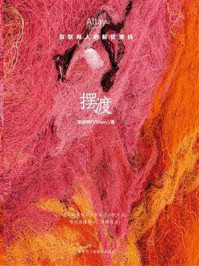 摆渡：互联网人的解忧密码/宋婷婷