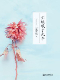 尘埃眠于光年/夏茗悠