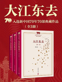 《欢乐颂》作者阿耐经典代表作:大江东去(全3册)/阿耐