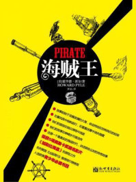 海贼王/（美）派尔