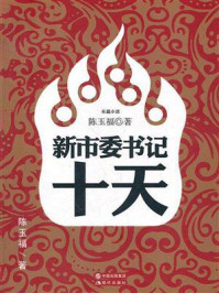 新市委书记十天/陈玉福